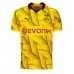 Borussia Dortmund Marco Reus #11 Replica Third Shirt 2023-24 Short Sleeve